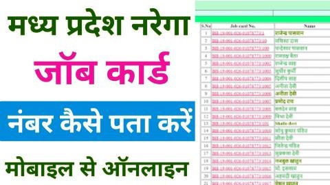 nrega mp job card list